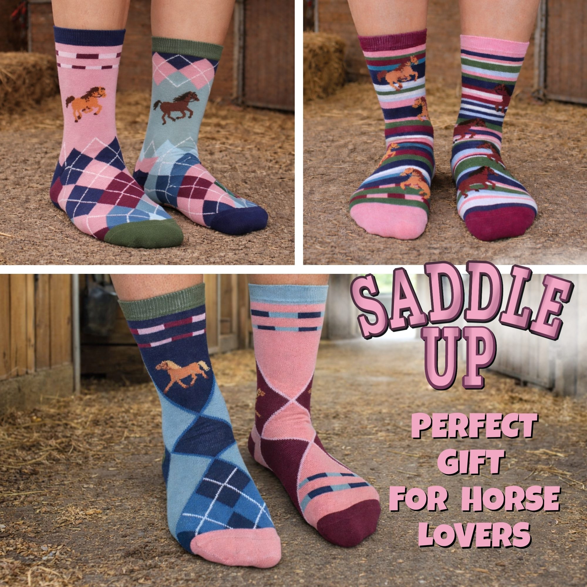 SADDLE UP - Image 4
