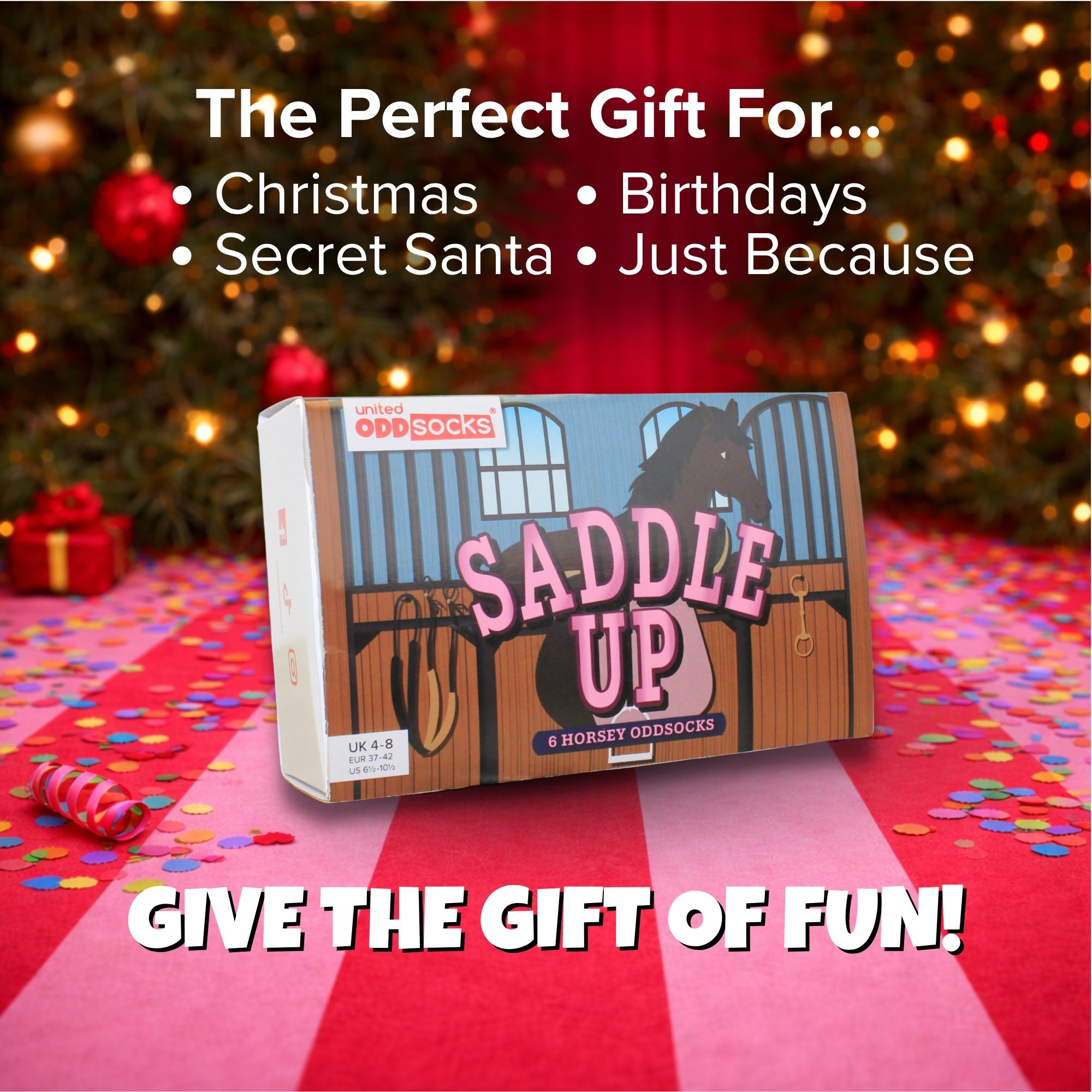 SADDLE UP - Image 7